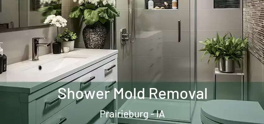 Shower Mold Removal Prairieburg - IA