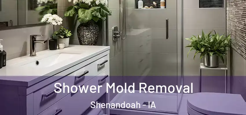  Shower Mold Removal Shenandoah - IA