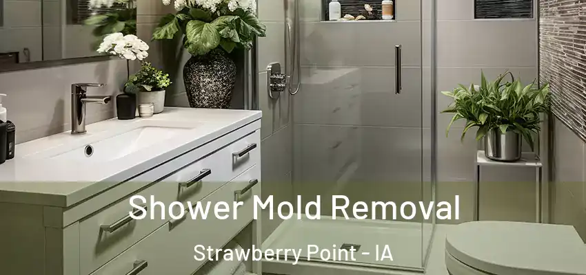 Shower Mold Removal Strawberry Point - IA