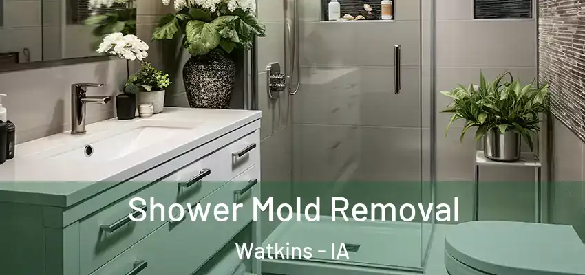  Shower Mold Removal Watkins - IA