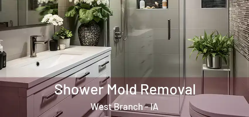  Shower Mold Removal West Branch - IA