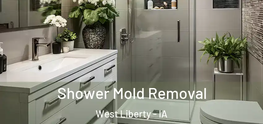 Shower Mold Removal West Liberty - IA