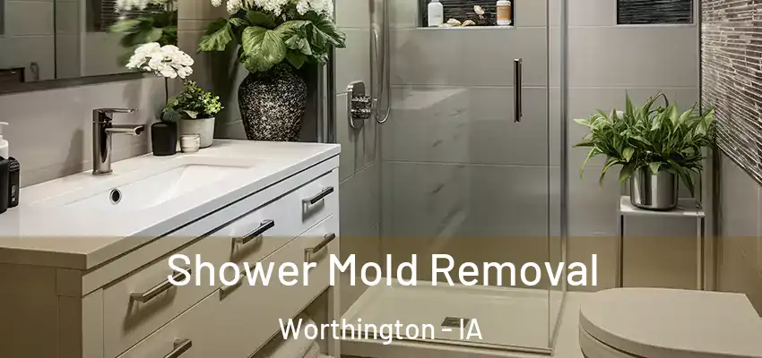 Shower Mold Removal Worthington - IA